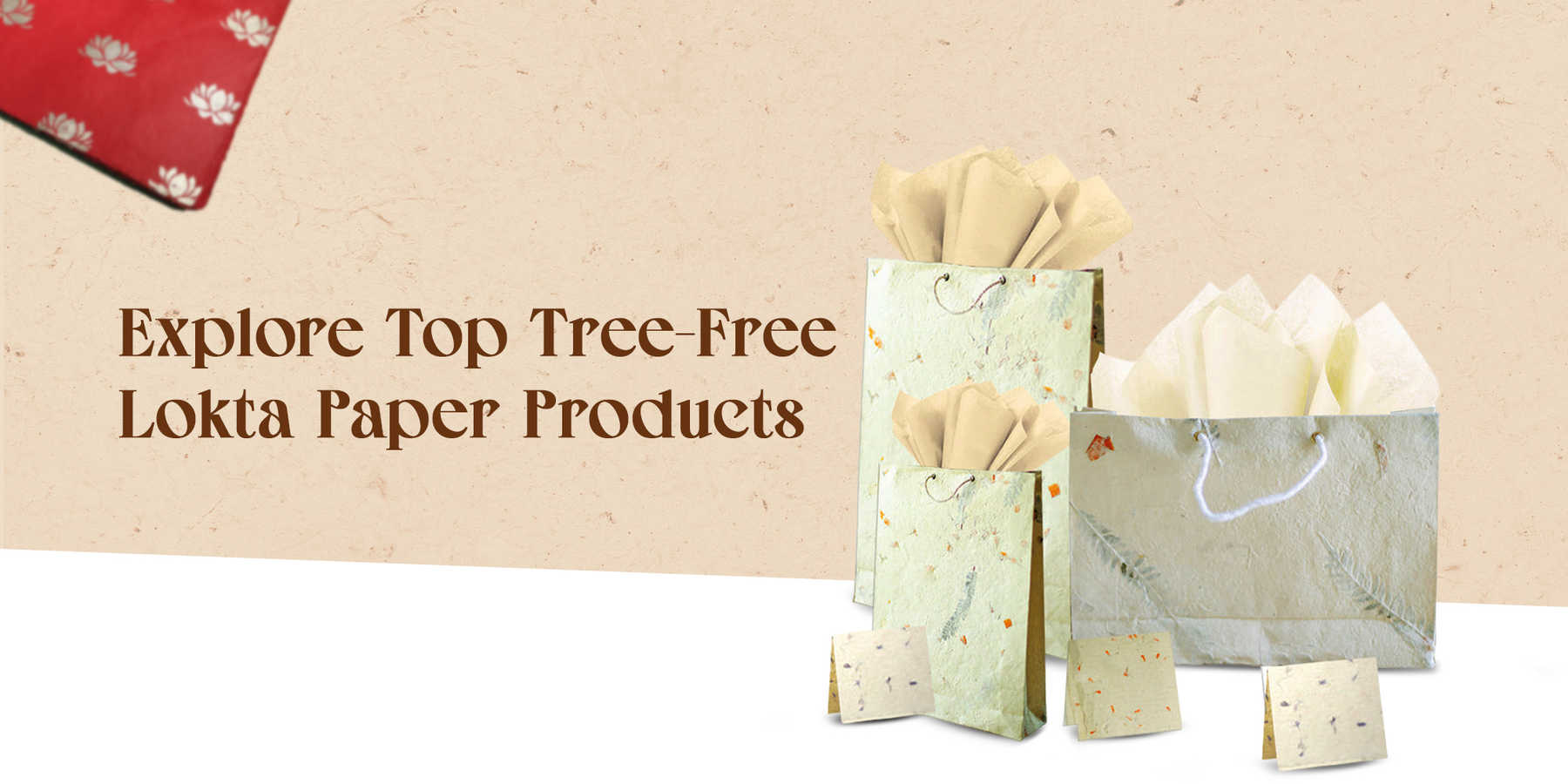 Top Lokta Paper Products for Eco-Conscious Consumers