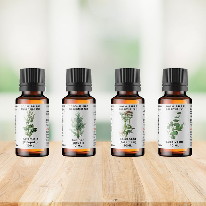 Pure Essential Oils Bundle: Spikenard, Artemisia, Eucalyptus & Juniper – Nature’s Healing in Every Drop